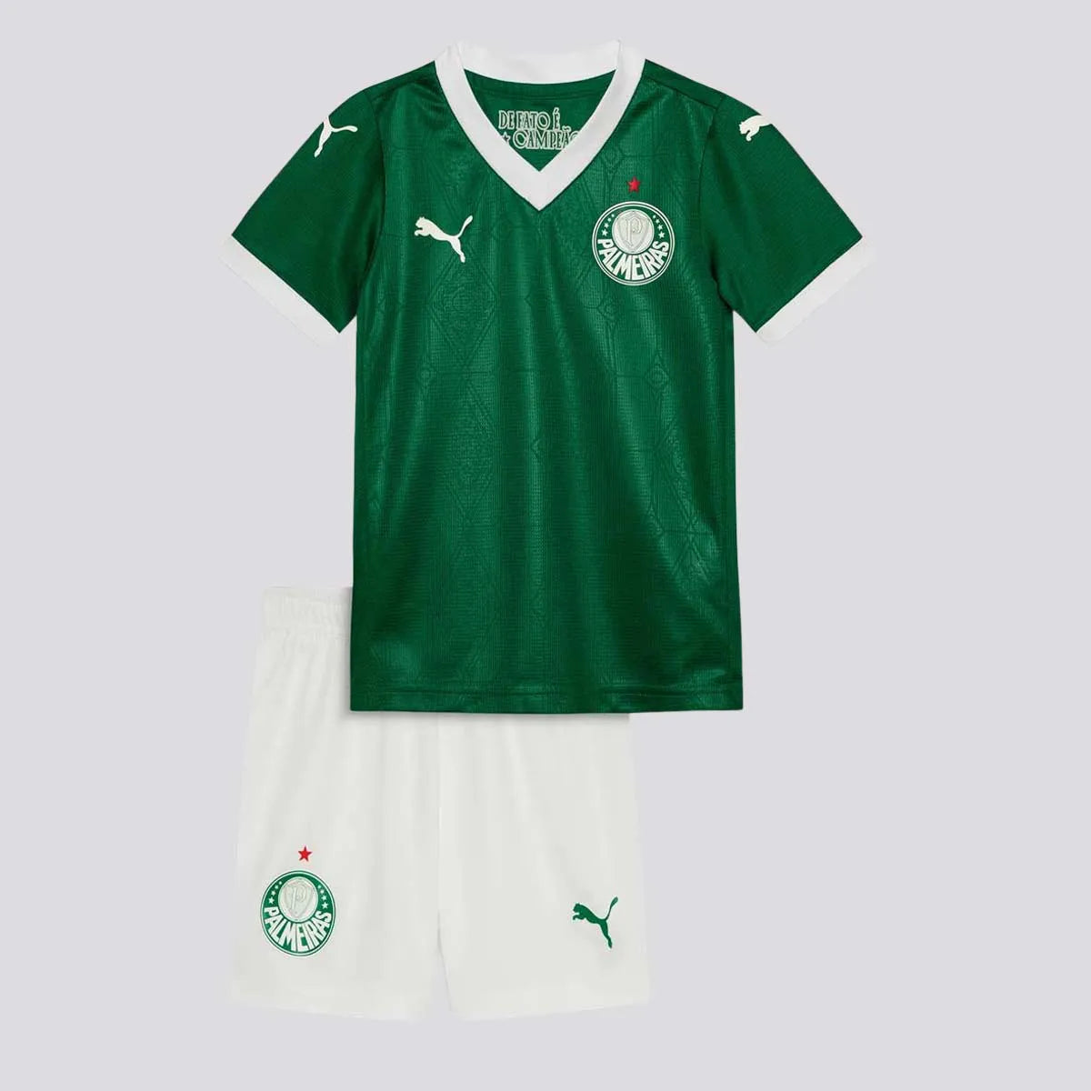 Conjunto Infantil Palmeiras 2025/26 I