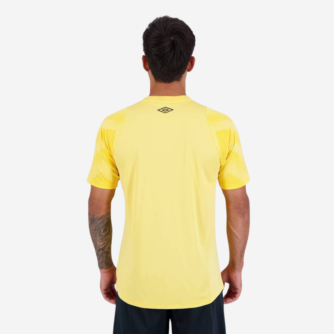 Camisa Santos 2024/25 II Goleiro