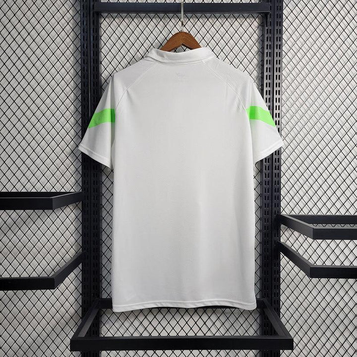 Camisa Palmeiras Polo 23/24 - Puma Branco - Paixão no Manto