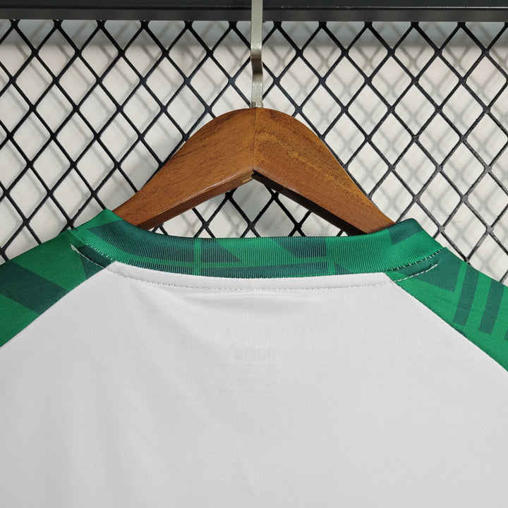 Camisa Palmeiras Treino II 23/24 - Puma Torcedor Masculina - Paixão no Manto