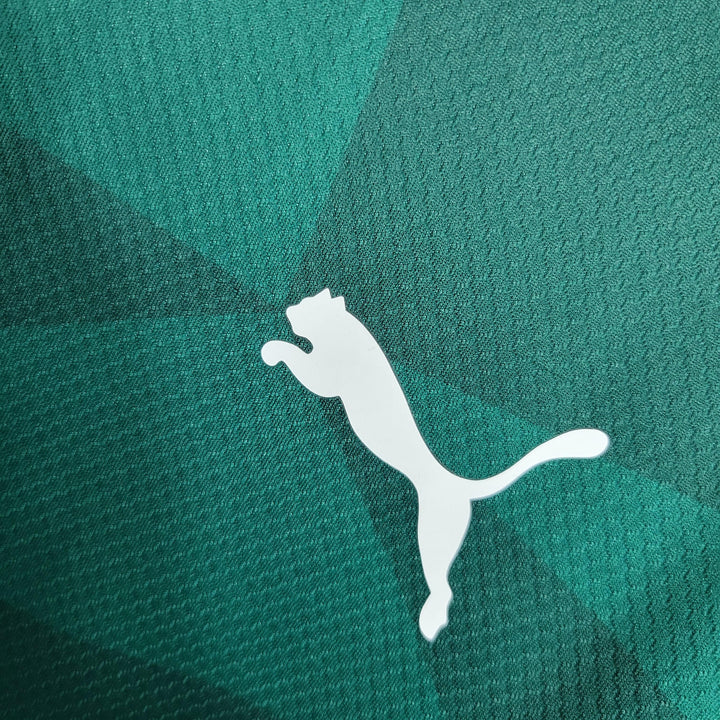 Camisa Palmeiras I 23/24 - Puma - Paixão no Manto