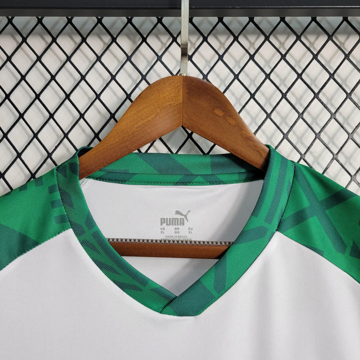 Camisa Palmeiras Treino II 23/24 - Puma Torcedor Masculina - Paixão no Manto