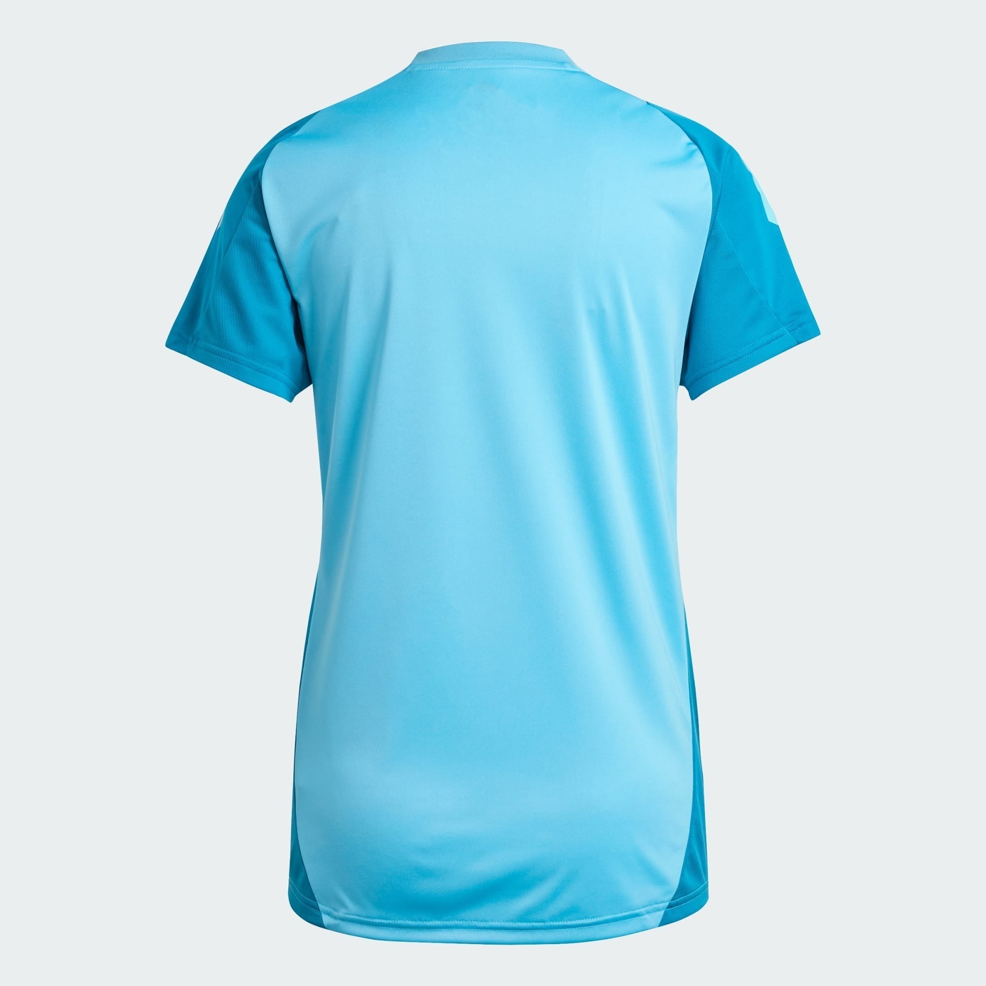 Camisa Flamengo Treino 2024/25