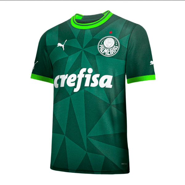 Camisa Palmeiras I 23/24 - Puma - Paixão no Manto