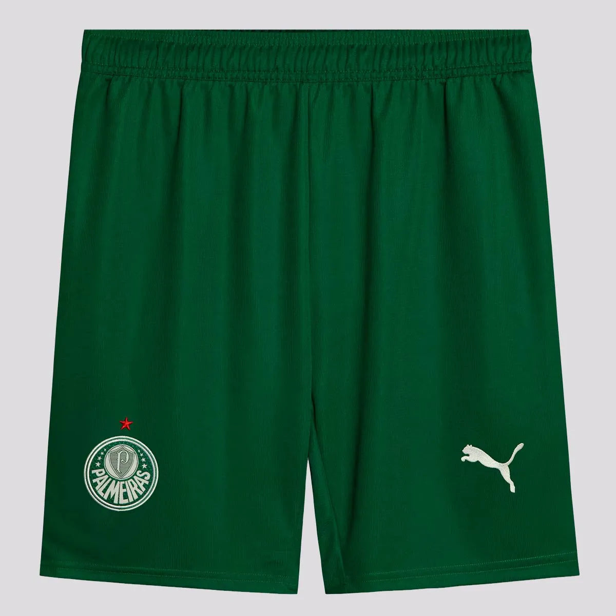 Calção Puma Palmeiras II 2025