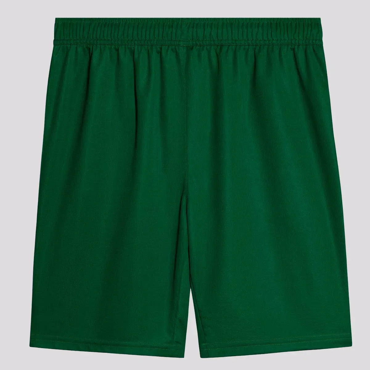 Calção Puma Palmeiras II 2025