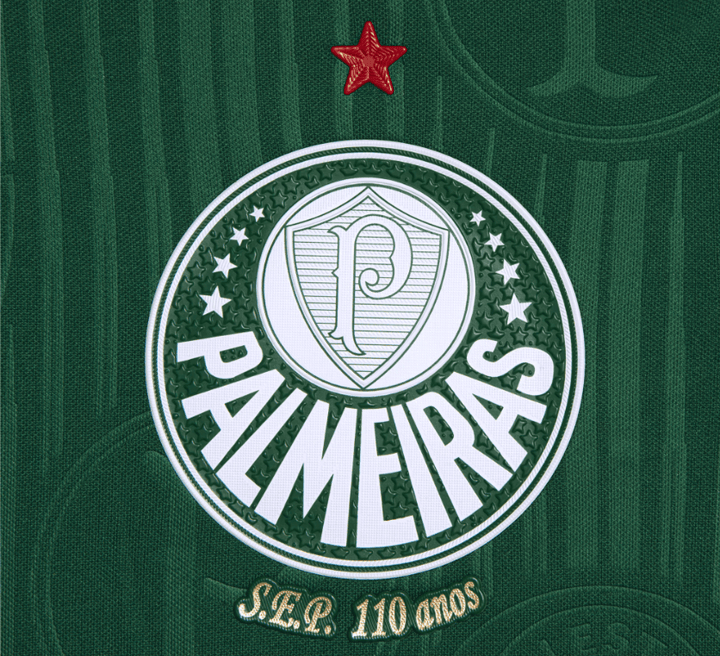 Camisa Palmeiras Puma I 24/25 - Modelo Jogador - Verde - Paixão no Manto