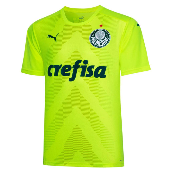 Camisa Palmeiras Goleiro 23/24 - Puma Torcedor Masculina - Paixão no Manto