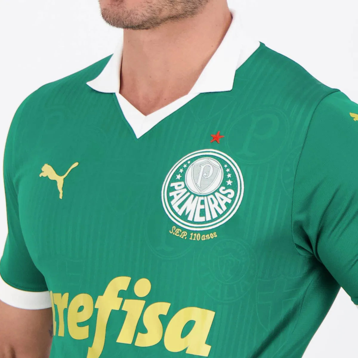Camisa Palmeiras 2024/25 I
