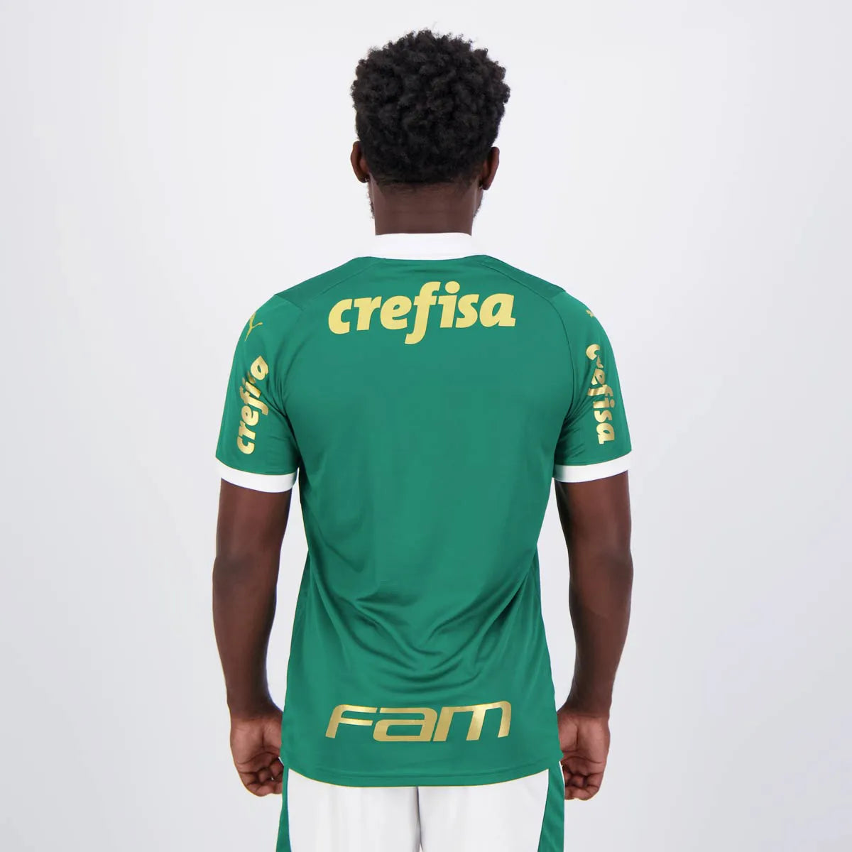 Camisa Palmeiras 2024/25 I Com Patrocínios