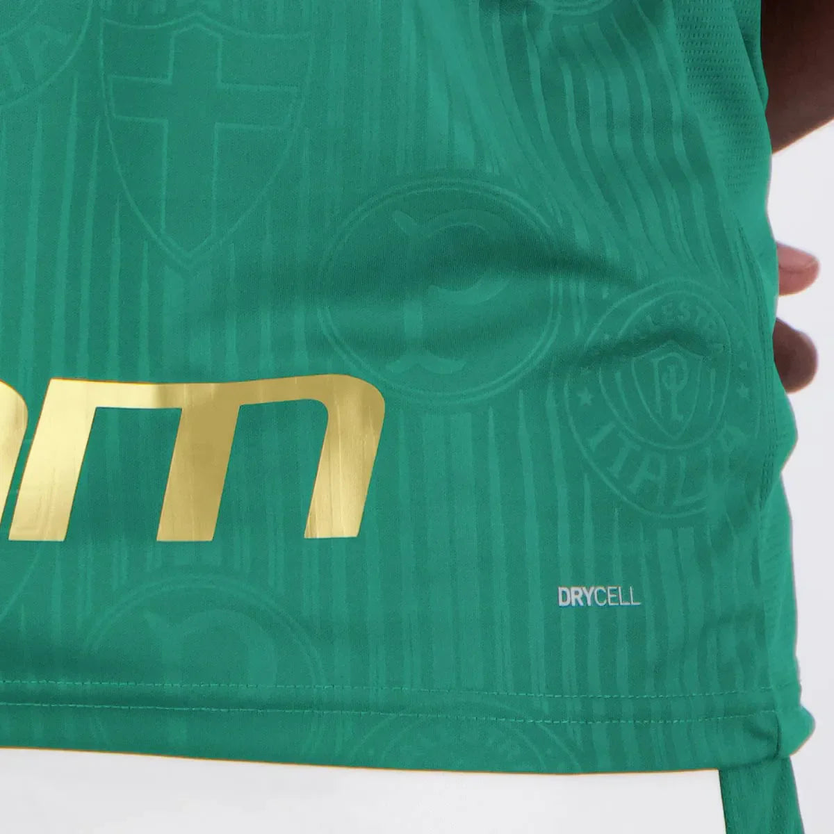 Camisa Palmeiras 2024/25 I Com Patrocínios
