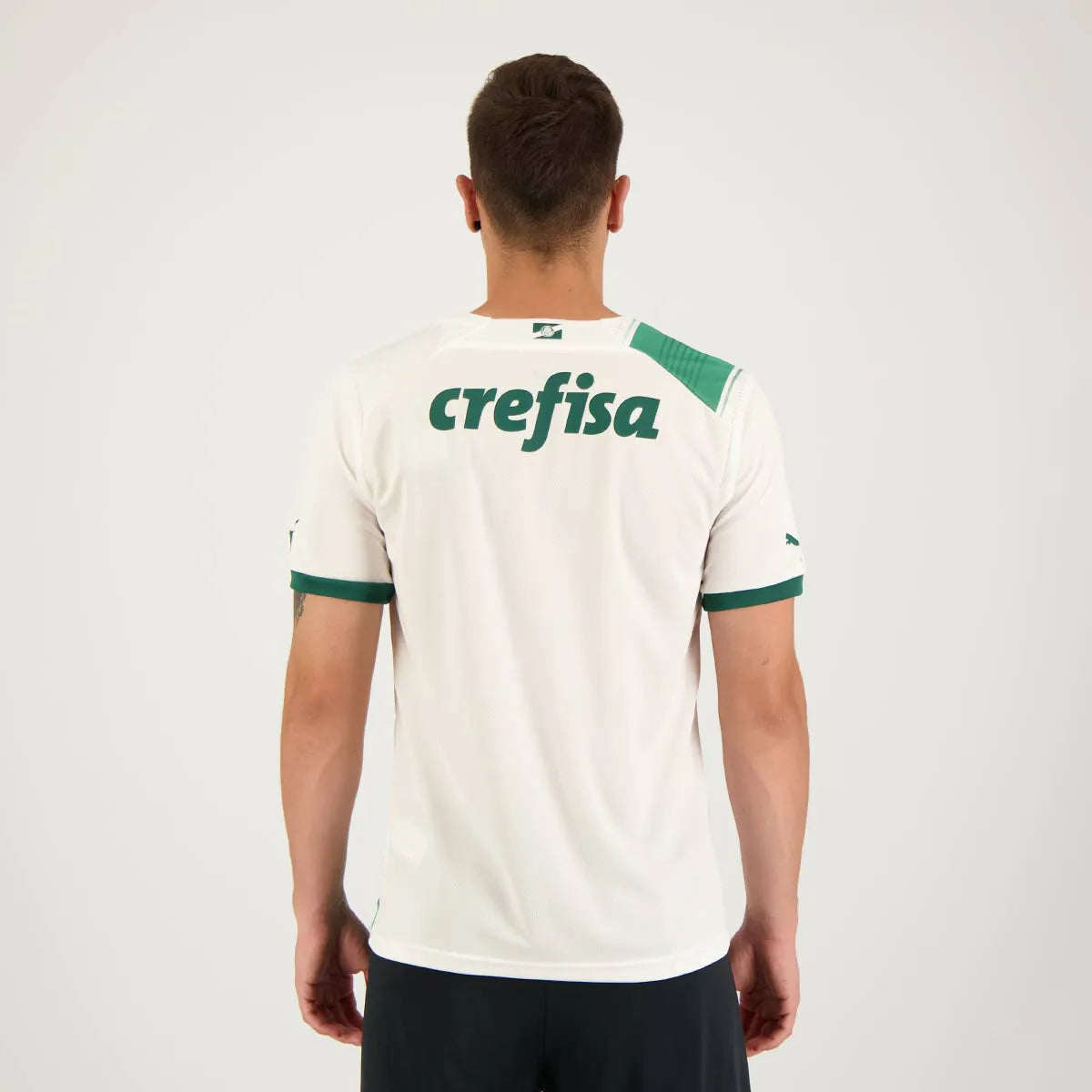 Camisa Palmeiras 2023/24 II
