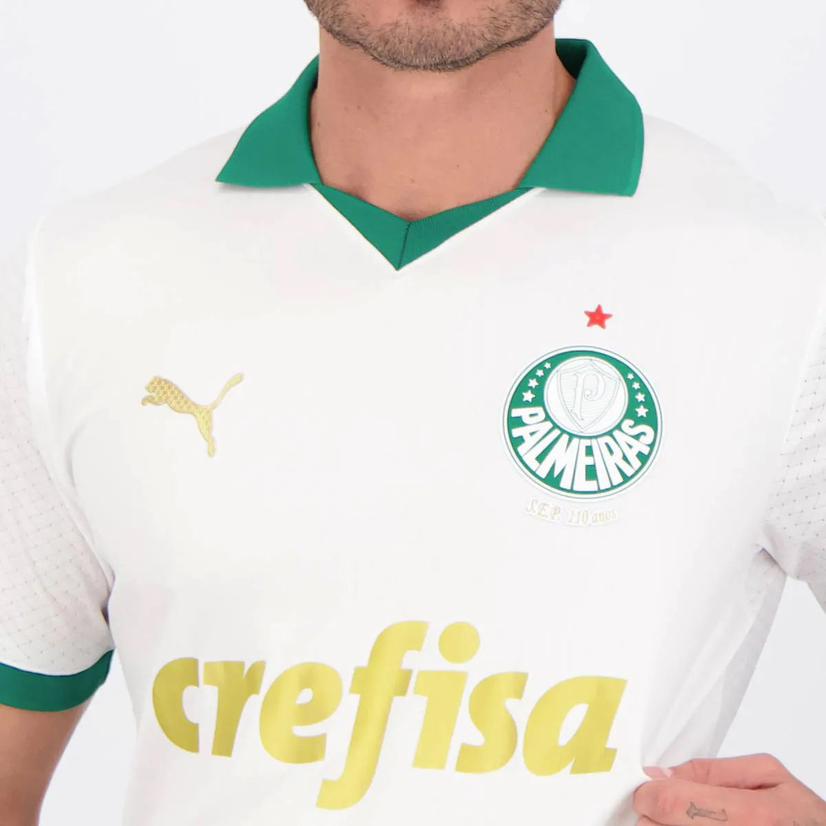 Camisa Palmeiras 2024/25 II