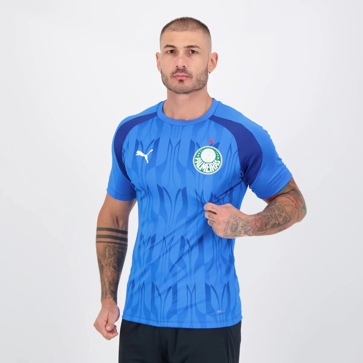 Camisa Palmeiras 2024/25 II Pré-Jogo