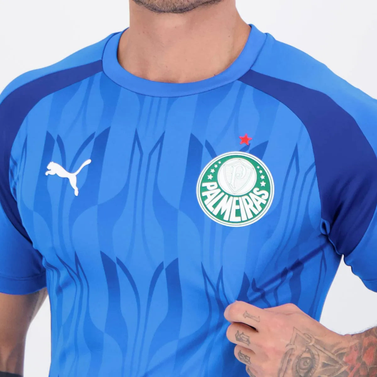 Camisa Palmeiras 2024/25 II Pré-Jogo