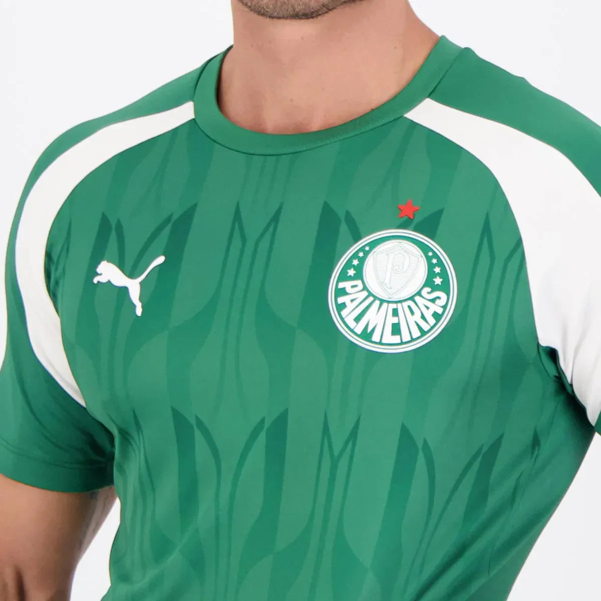 Camisa Palmeiras 24/25 Pré Jogo