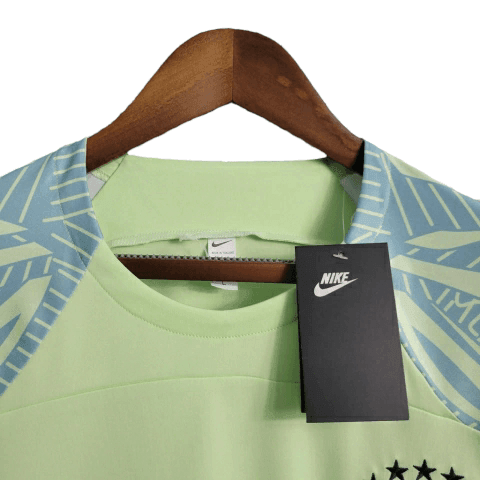 Camisa Seleção Brasileira Treino 22/23 Torcedor Nike Masculina - Verde - Paixão no Manto