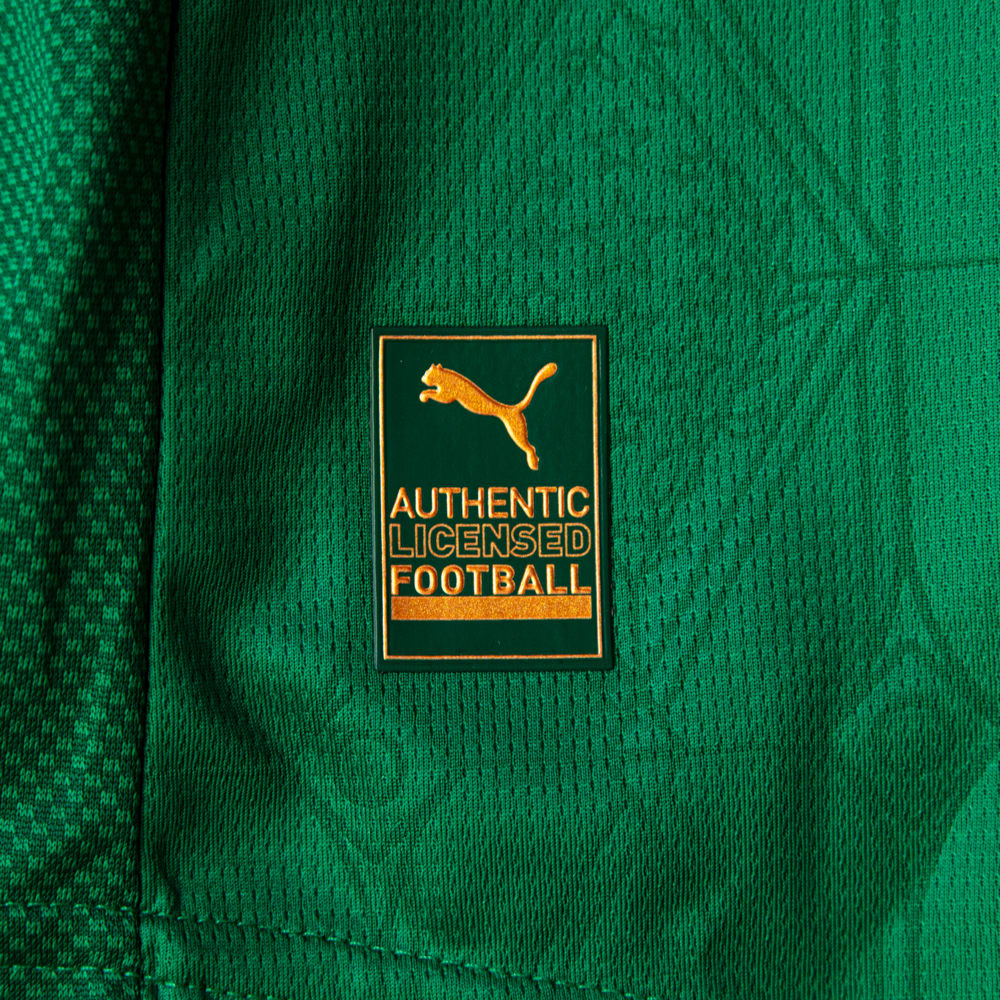 Camisa Palmeiras 2025/26 I Jogador