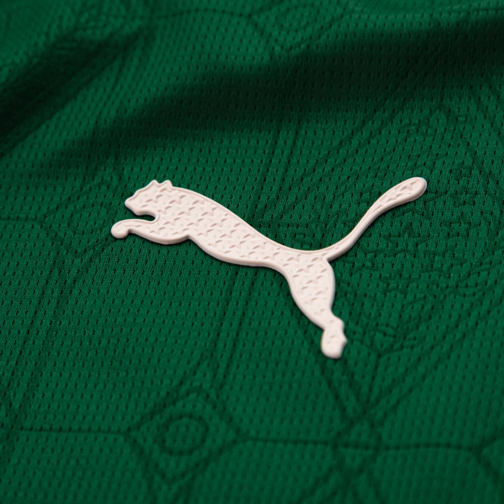 Camisa Palmeiras 2025/26 I Jogador